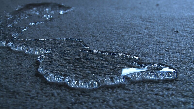 Puddle on Carpet