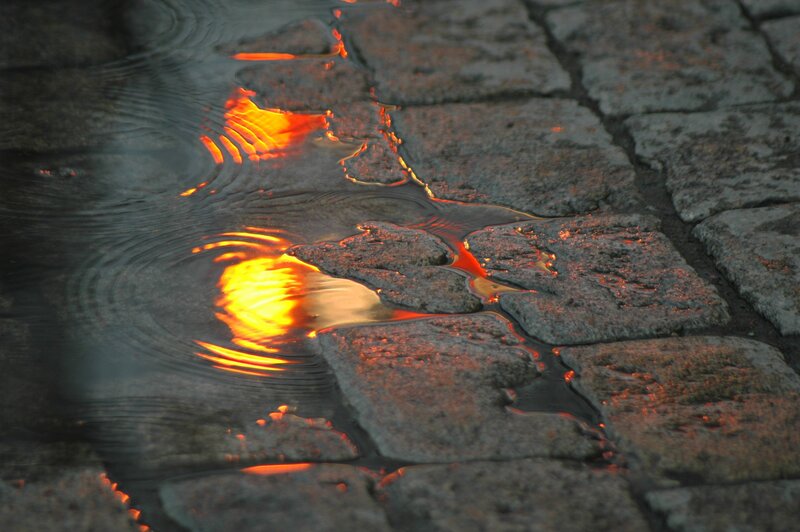 Puddle on Cobblestones