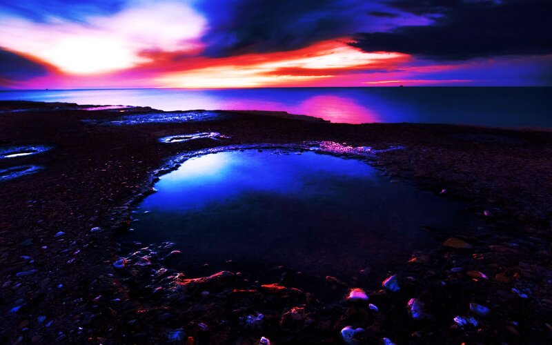 Puddle on Rocky Beach