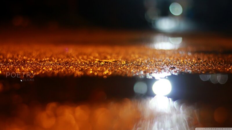 Puddle Reflecting Lights