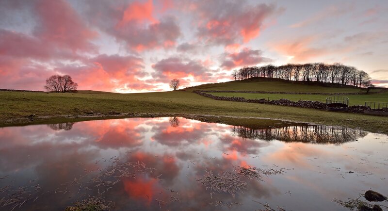 Puddle Reflecting Sunset — Pink