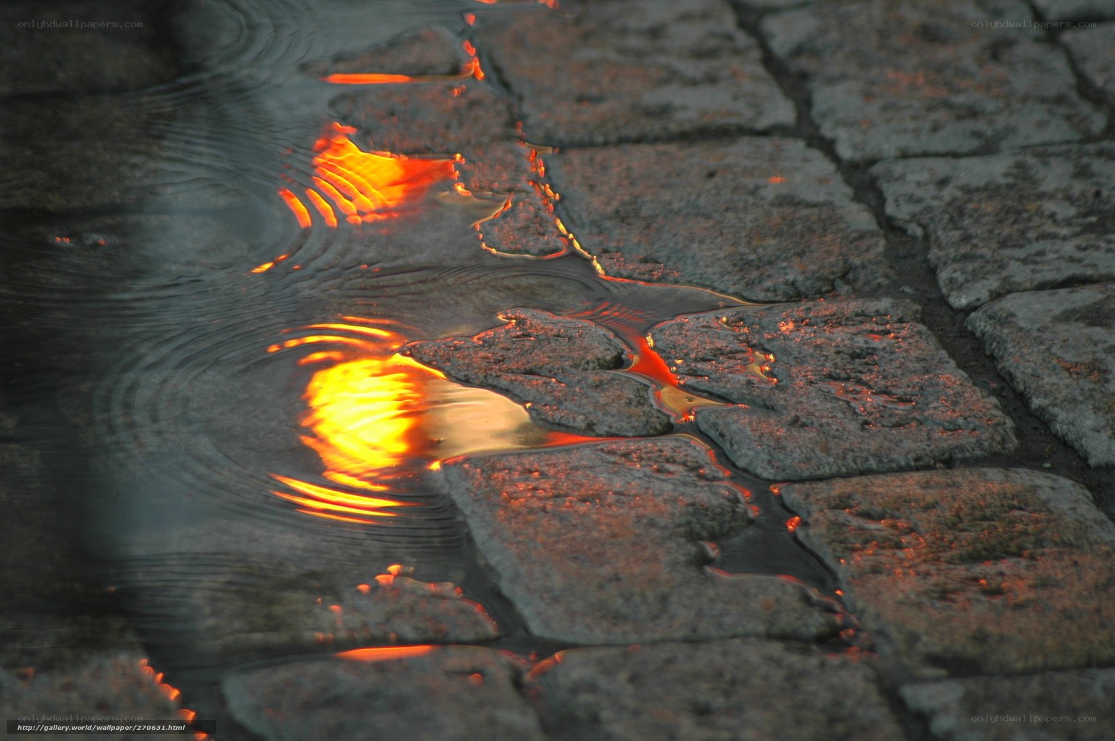 Puddle reflecting sunset