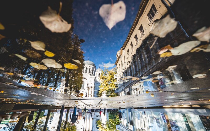 Puddle reflection of city scene