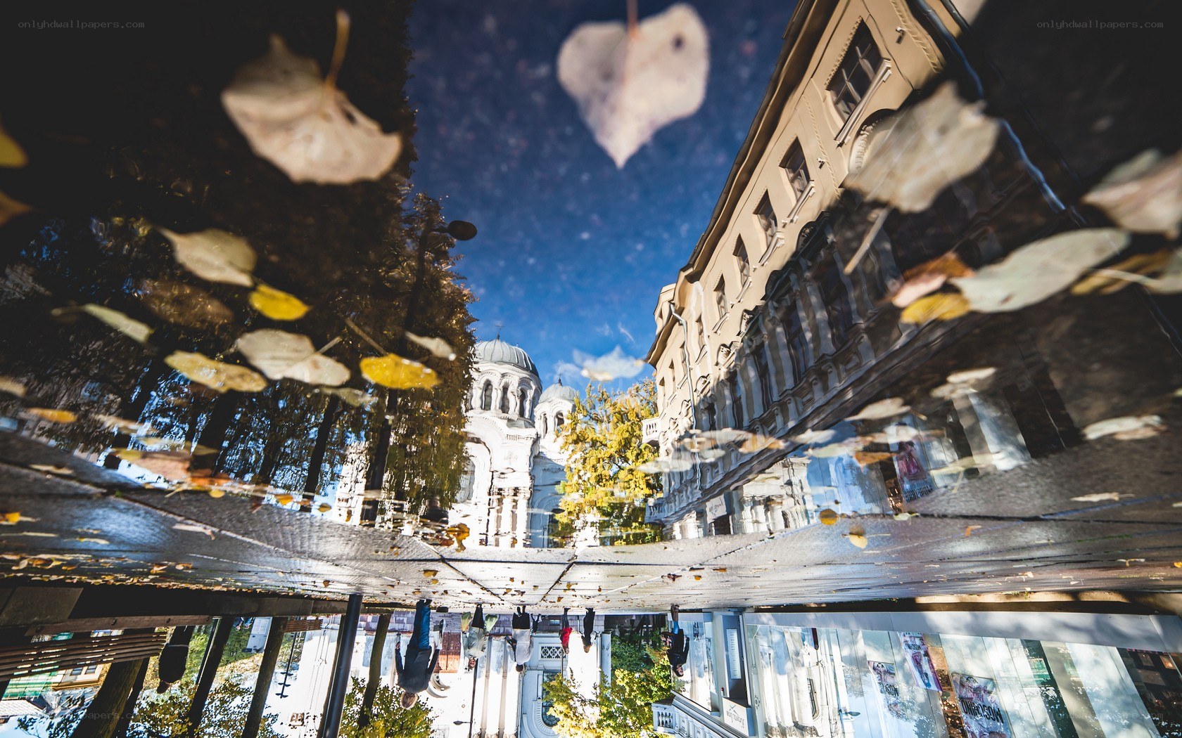 Puddle reflection of city scene