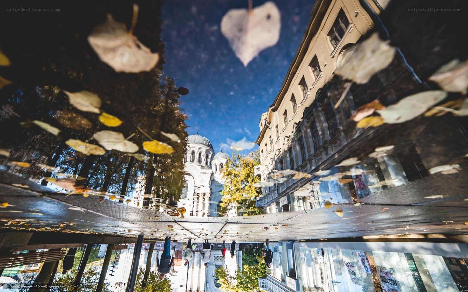 Puddle reflection of city scene