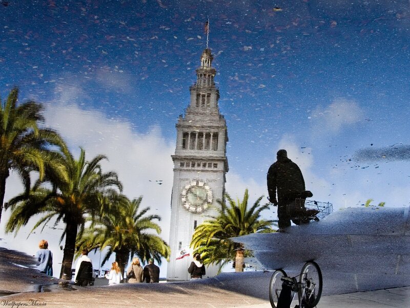 Puddle reflection of Coit Tower