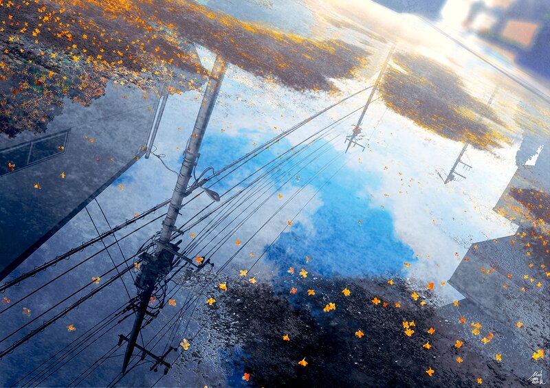 Puddle Reflection of Power Lines