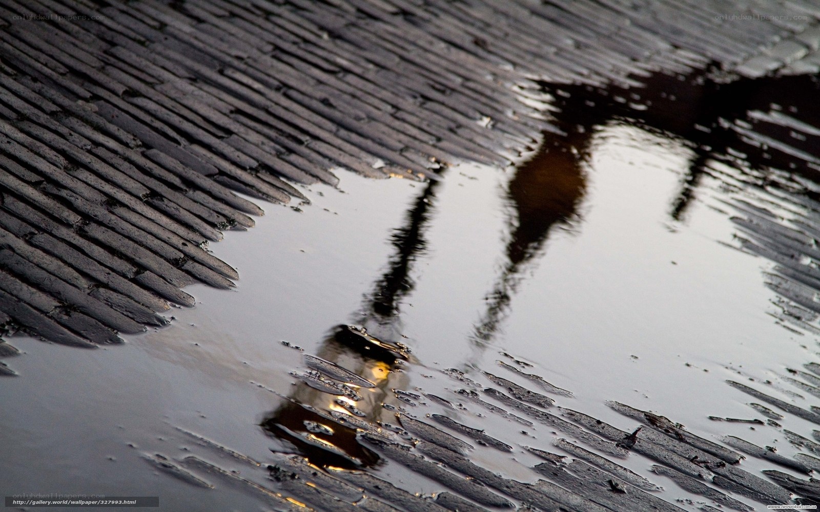 Puddle Reflection on Wooden Deck