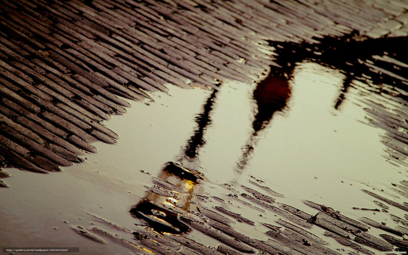 Puddle Reflection on Wooden Deck