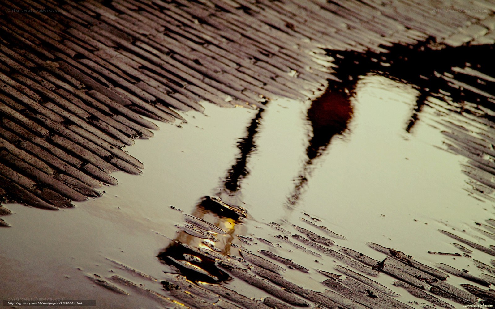 Puddle Reflection on Wooden Deck