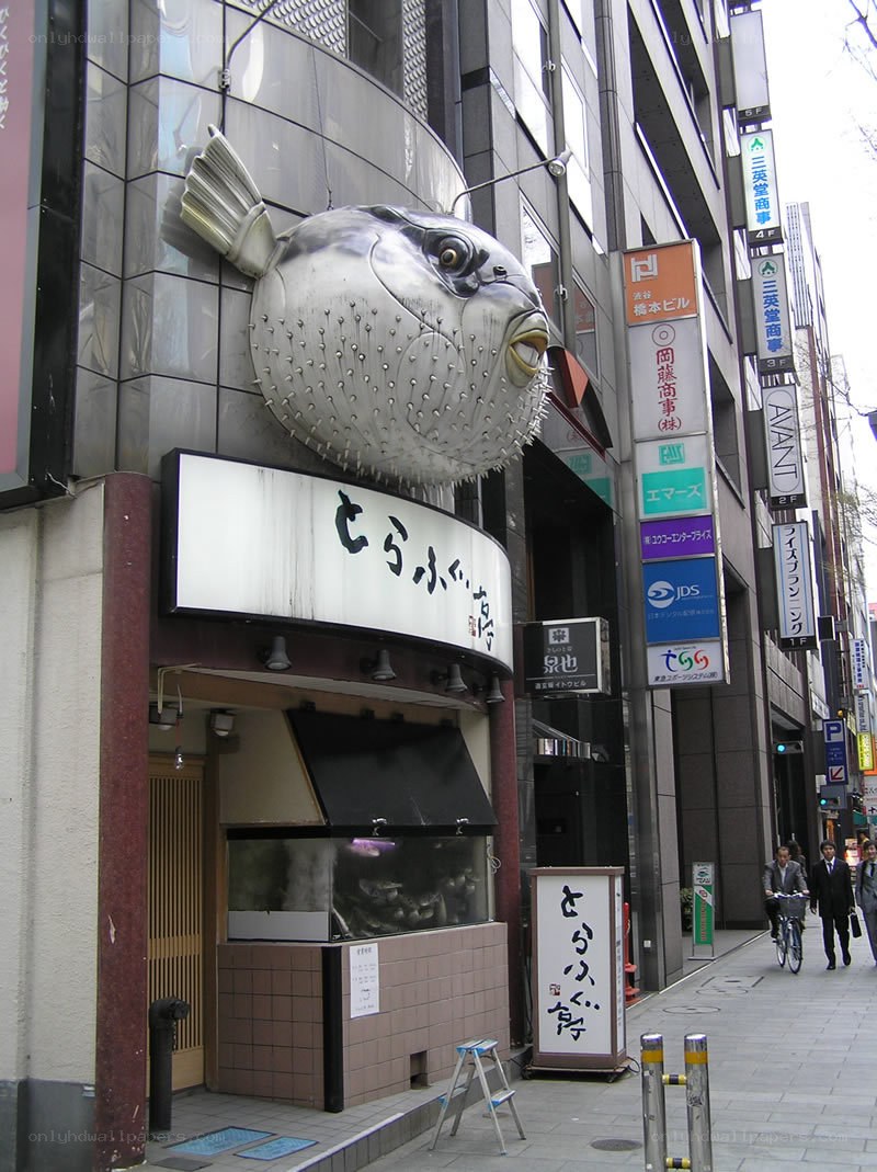 Pufferfish restaurant in Japan