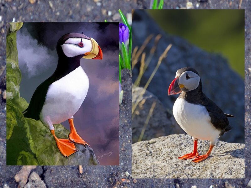 Puffin on a Rock — Black, Natural