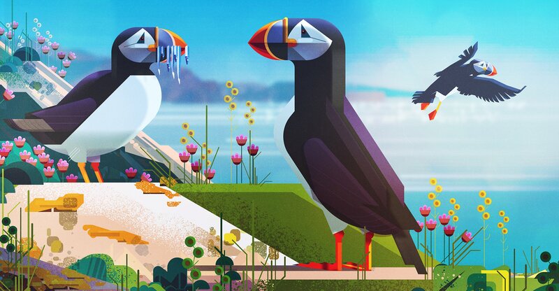 Puffins on a Cliff — Blue, Serene