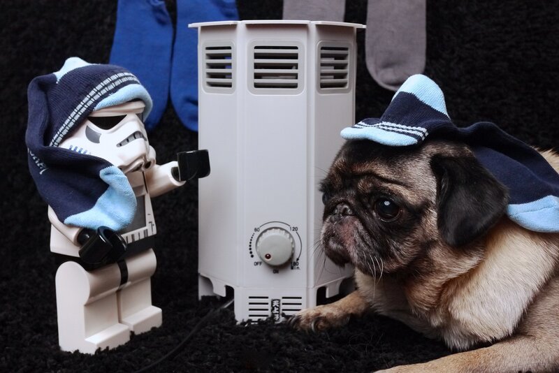 Pug Dog and Stormtrooper