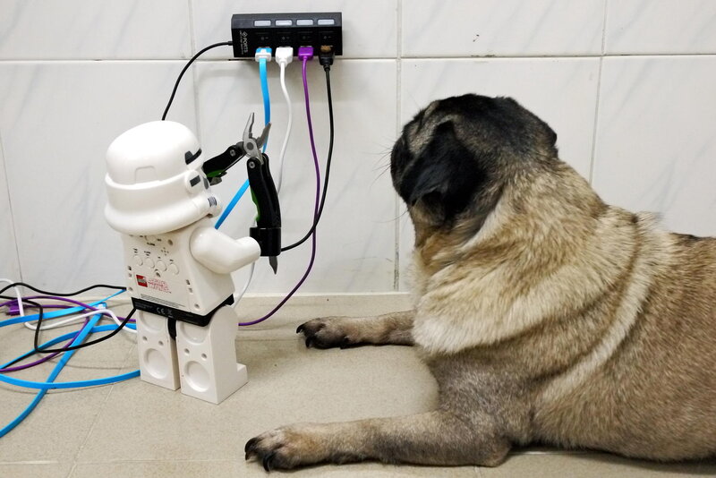 Pug Dog and Toy Robot