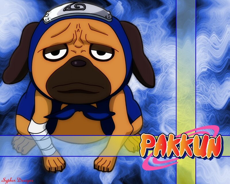 Pug Dog Character