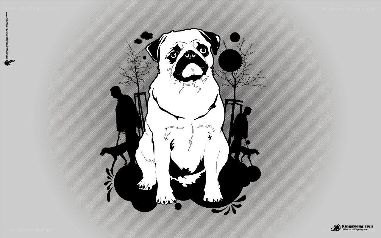 pug dog illustration art