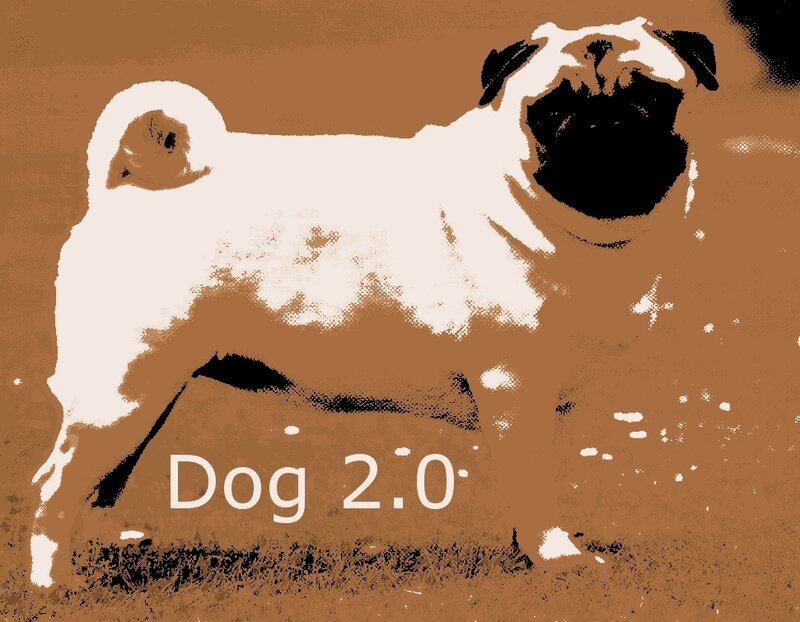 Pug dog illustration