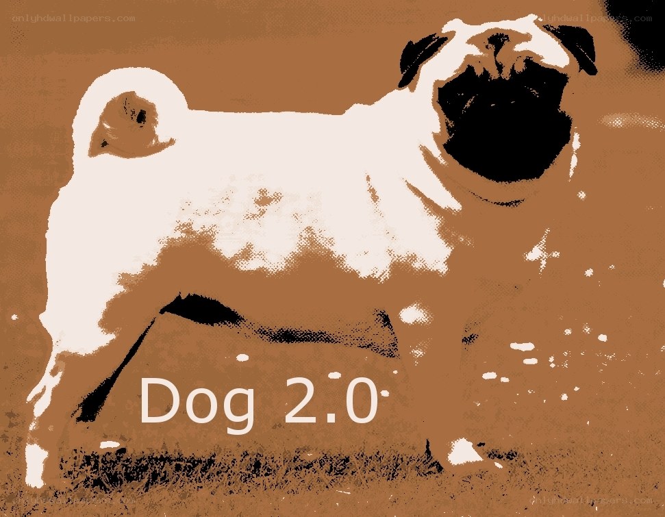 Pug dog illustration