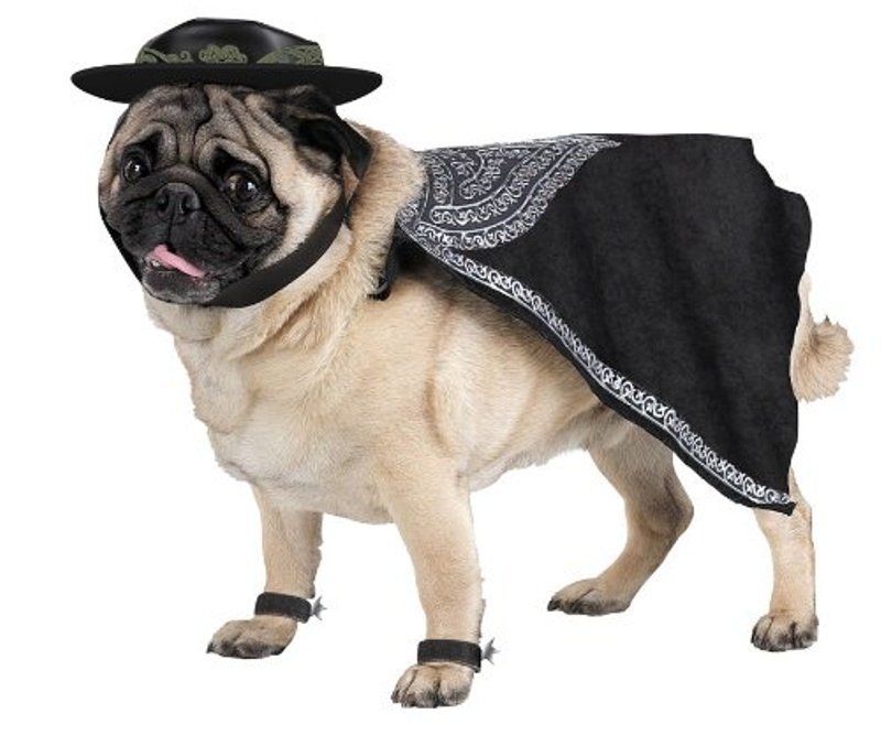Pug Dog in Costume — Black