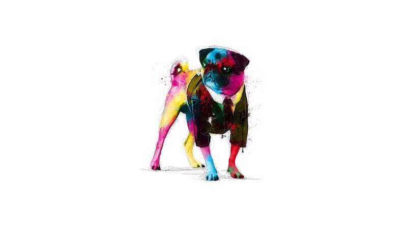 Pug Dog in Suit