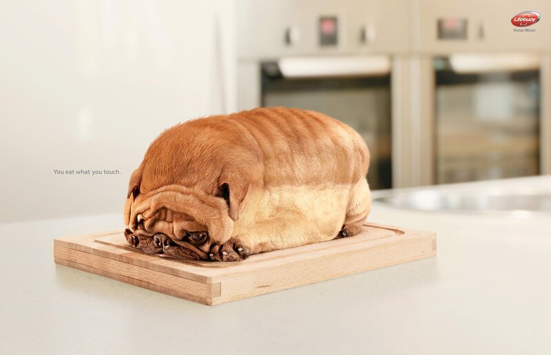 Pug Dog on Cutting Board