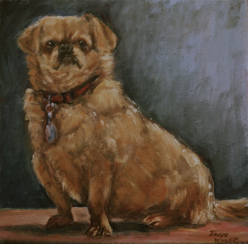 Pug Dog Portrait — Brown