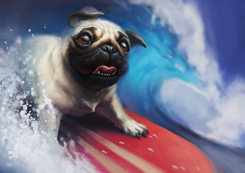 Pug Dog Surfing — Blue
