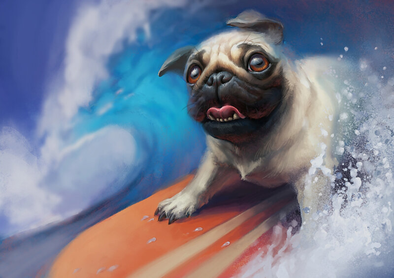 Pug Dog Surfing