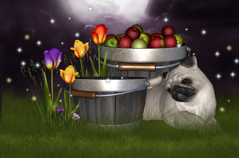 Pug Dog with Baskets