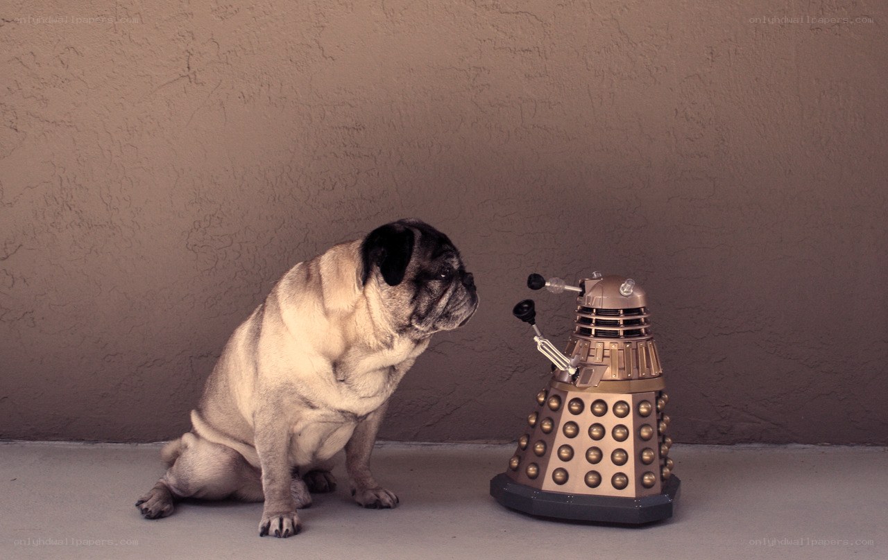 pug dog with dalek toy