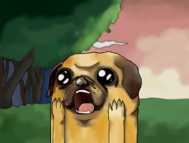 Pug Dog with Wide Eyes