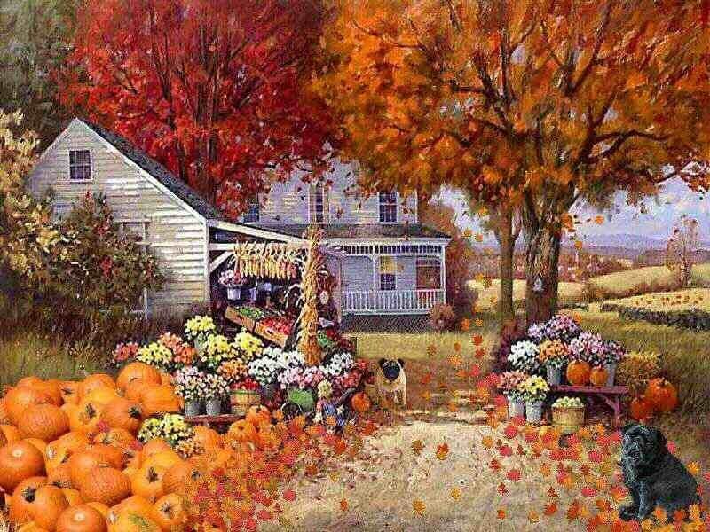 Pug Dogs in Autumn
