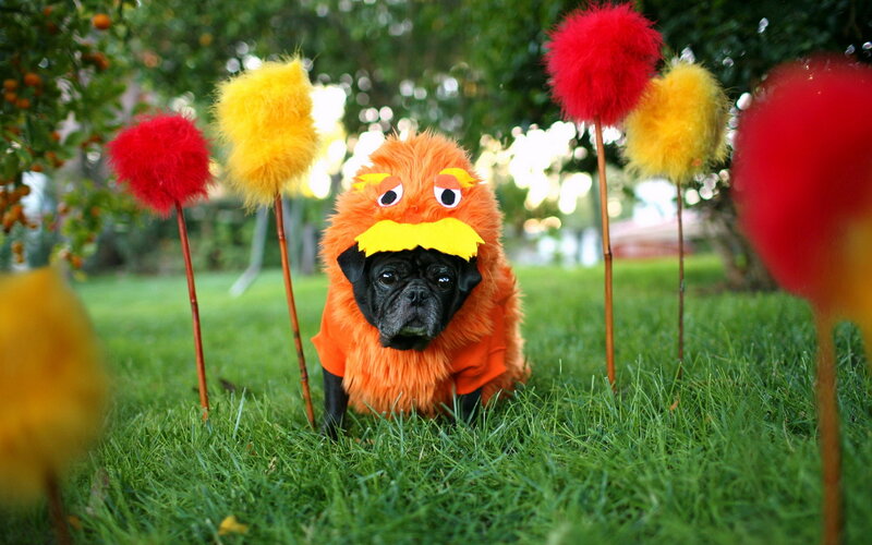 Pug in Costume — Green