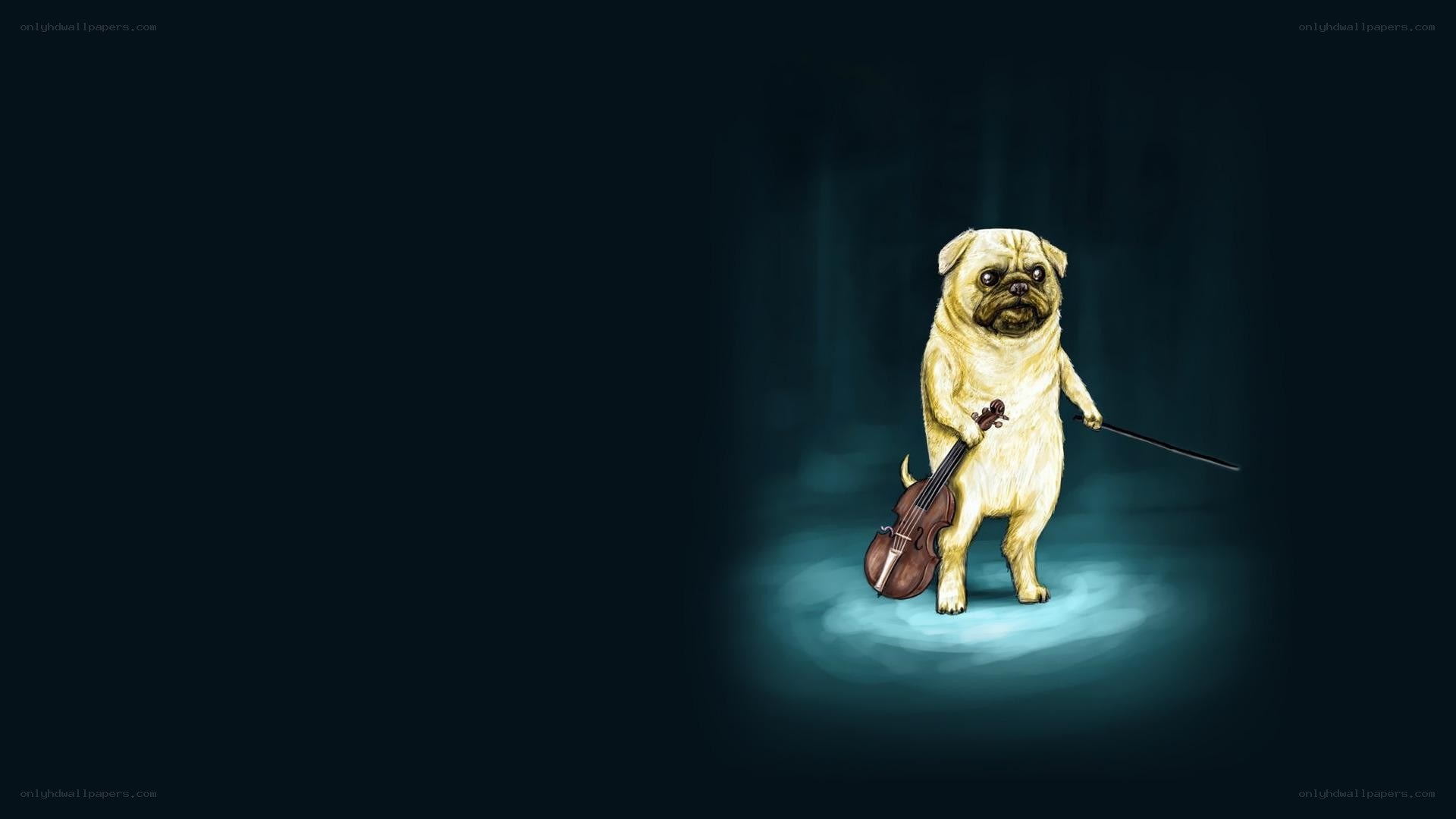 pug playing violin