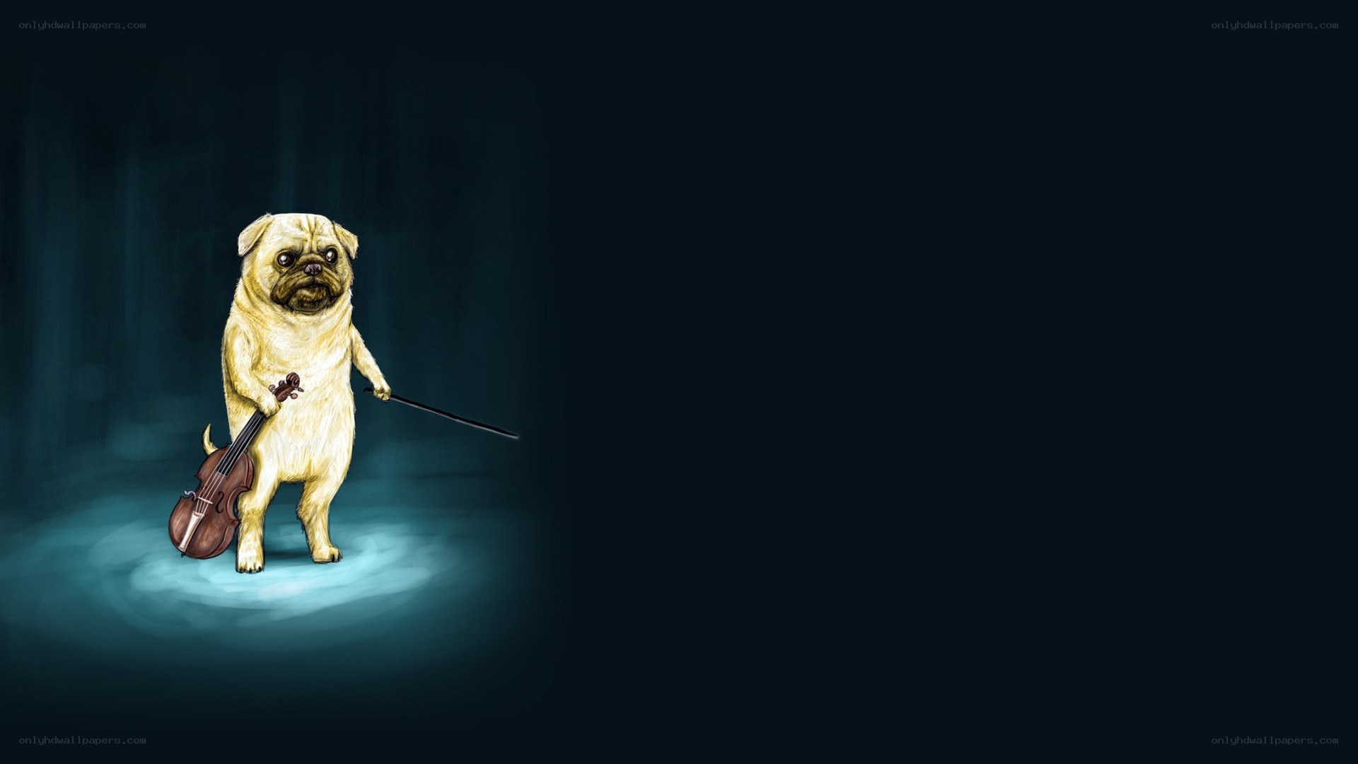 pug playing violin