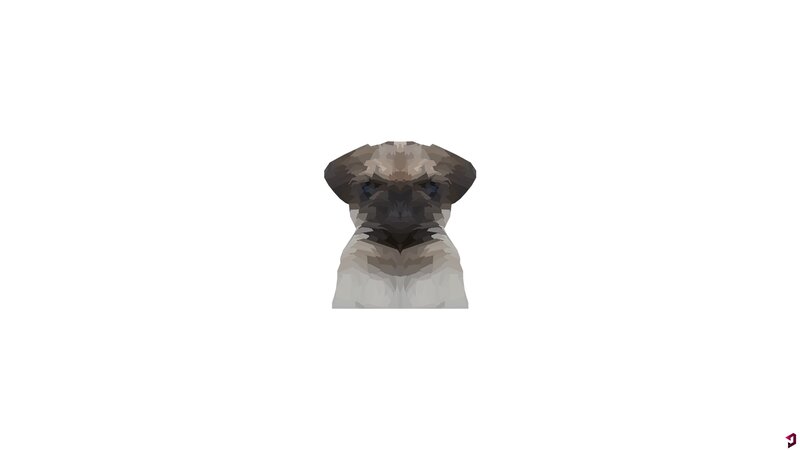 Pug Puppy — Gray