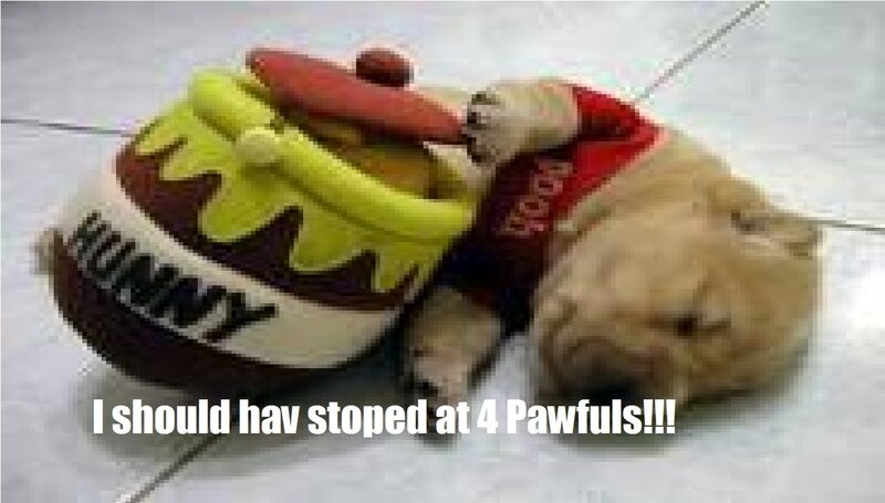 Pug Puppy Sleeping — Brown, Sleepy