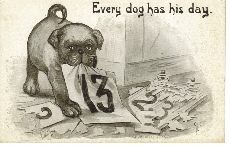 Pug Puppy with Paper
