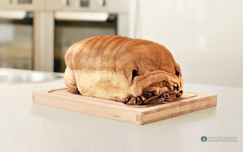 Pug-shaped Loaf of Bread — Brown