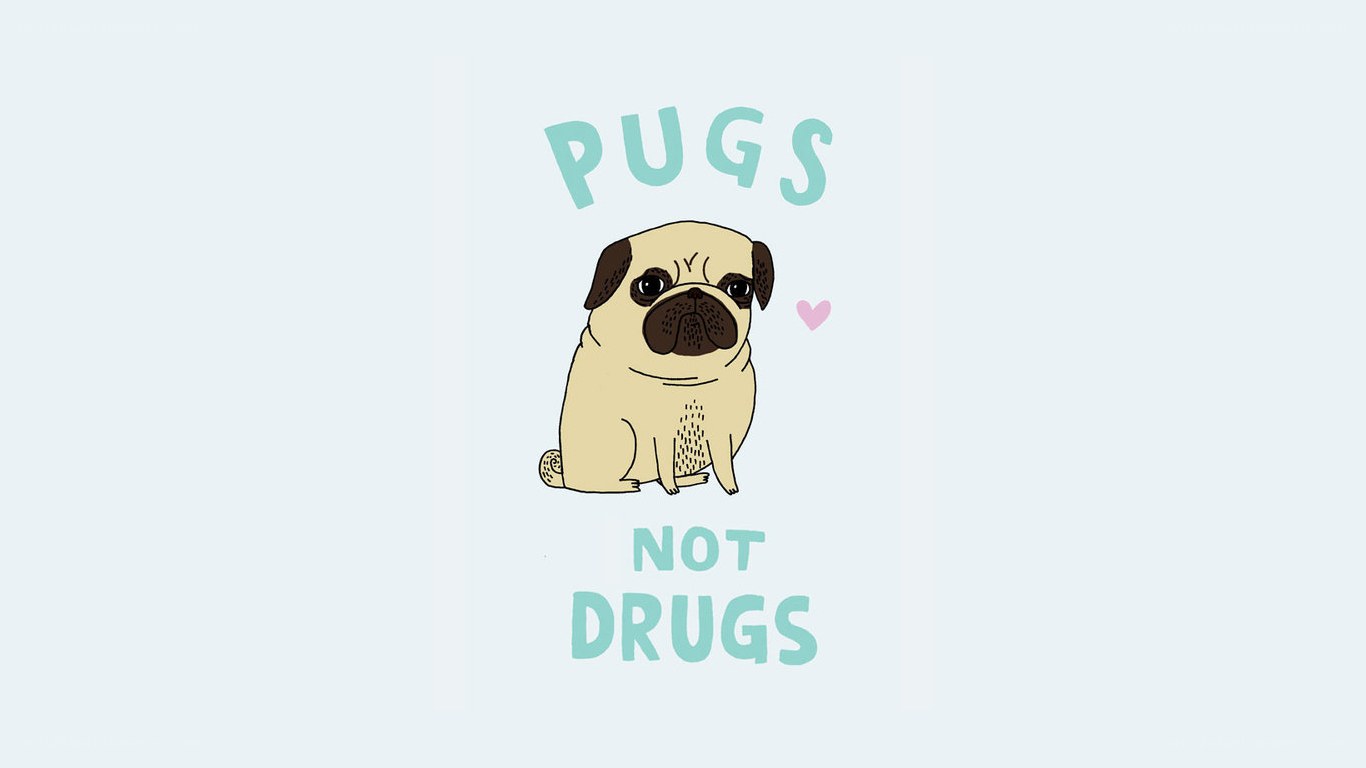Pugs not drugs
