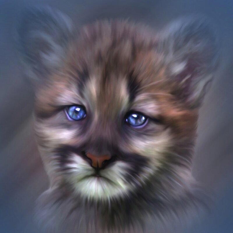 Puma Cub