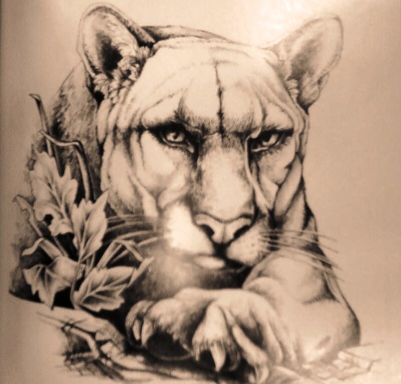 puma drawing with leaves