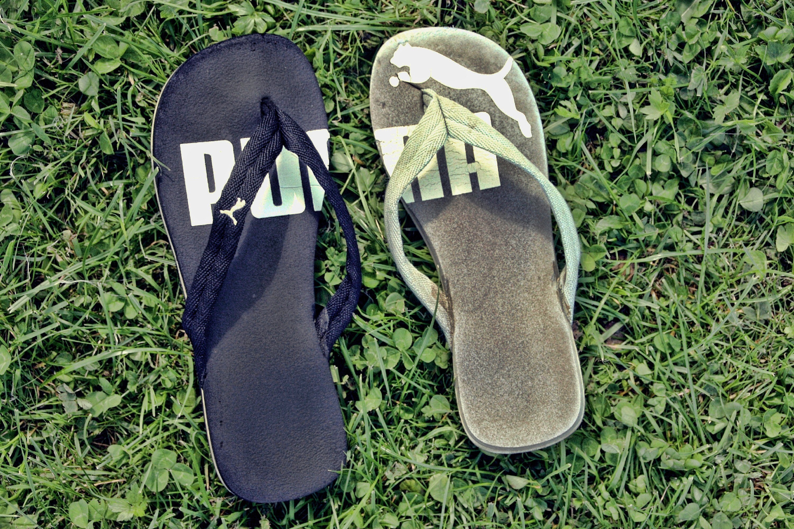 Puma flip-flops on grass