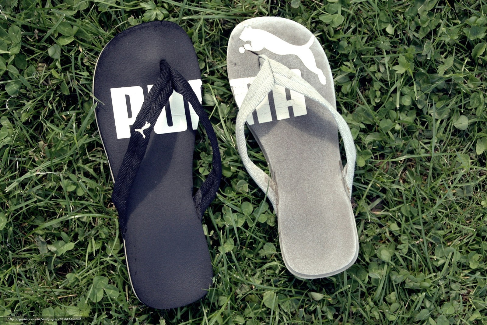 Puma flip-flops on grass
