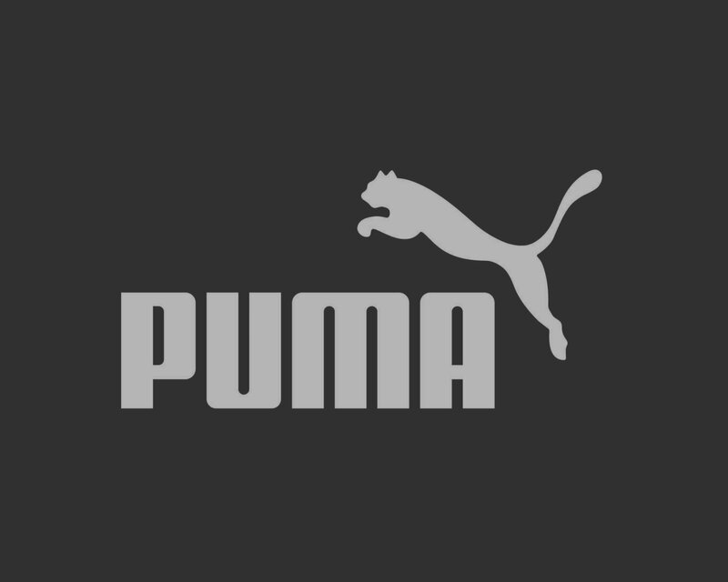 Puma logo on dark background
