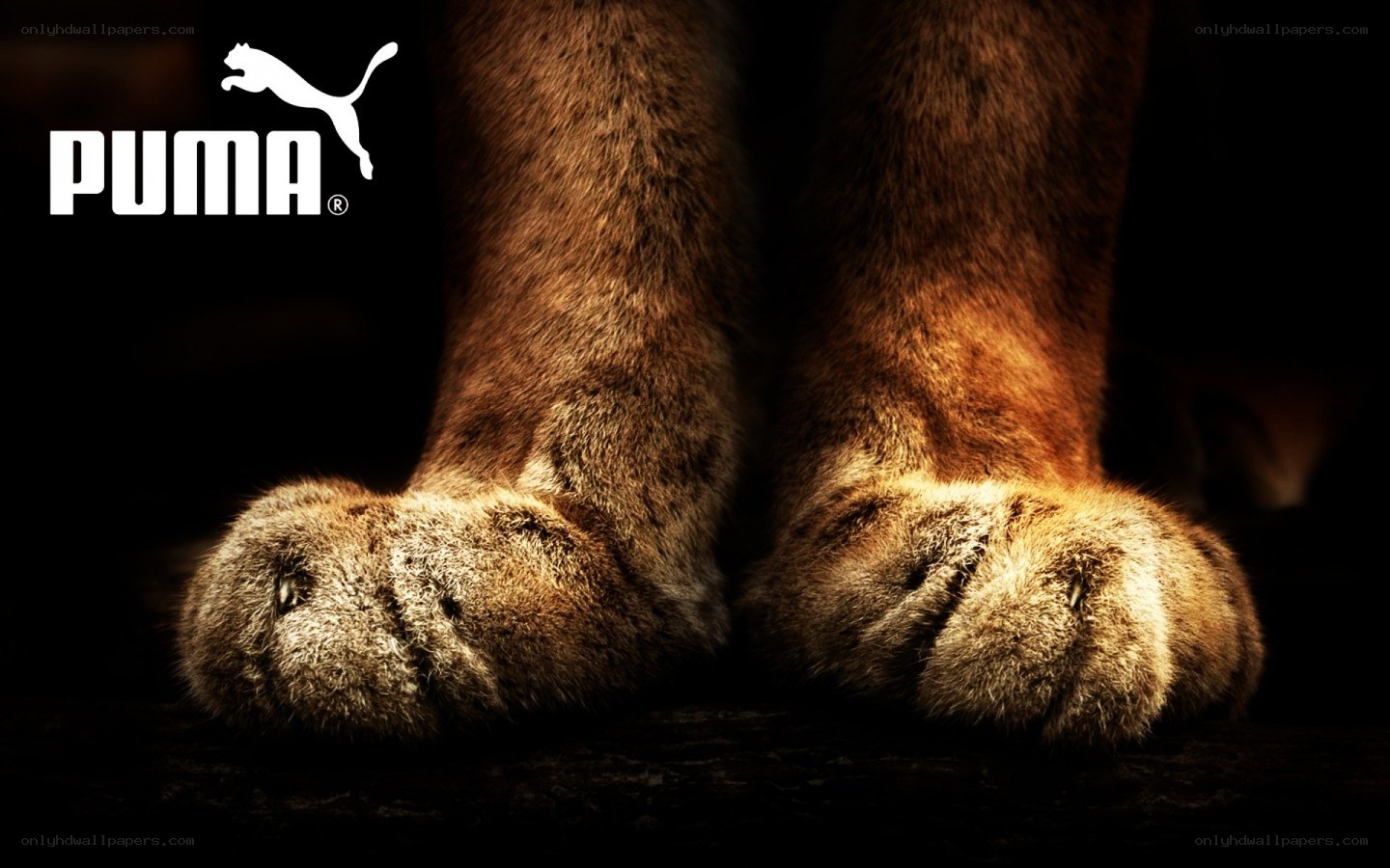Puma logo with animal paws