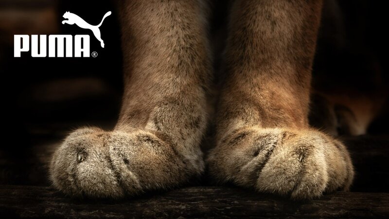 Puma Paws — Brown