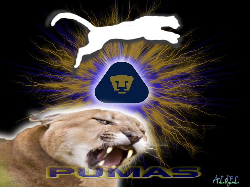 Pumas team logo with cougar