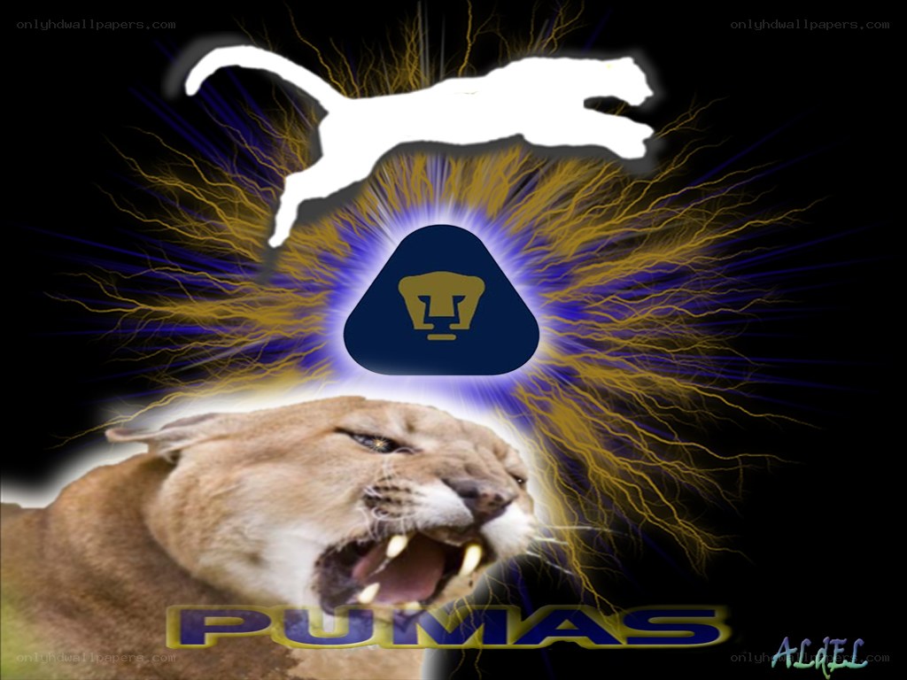 Pumas team logo with cougar